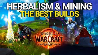 BEST Profession Builds For Herbalism and Mining  The War Within Farming Guide [upl. by Zetta436]