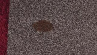 How To Remove Blood From Carpet [upl. by Ardeha]