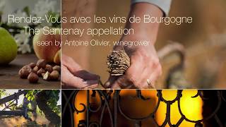 Santenay appellation seen by Antoine Olivier [upl. by Shaun]