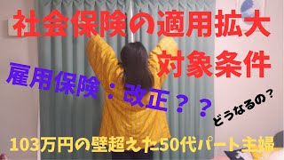 【50代パート主婦】社会保険の適用拡大2024。雇用保険週10時間2028年改正？103万円の壁！超えた！大損やらかした主婦が考えること ちい子のお話しvlog 106万円 130万 扶養 [upl. by Netsirhk]