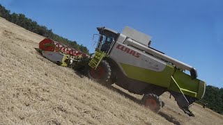 MOISSON DE L EXTRÊME en montagne  CLAAS LEXION 530 MONTANA FOUR WHEEL DRIVE Fin de champ difficile [upl. by Roland]