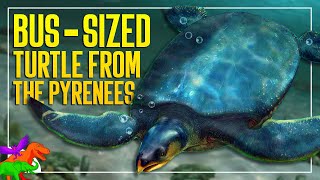 Scientists Unearth a Prehistoric CarSized Marine Turtle  Leviathanochelys  Paleo News 2022 [upl. by Rednazxela173]