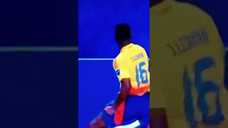 Gol de Lerma mundial music viralvideo futbol colombia funny love [upl. by Ecnatsnok]