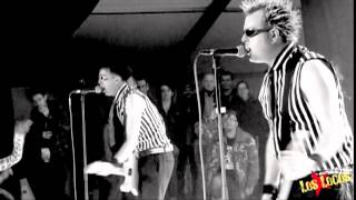 The Toy Dolls  Nellie The Elephant amp Toccata  Zikenstock [upl. by Corson10]