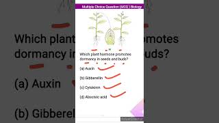 Which plant hormone promotes dormancy in seeds and buds [upl. by Ming]