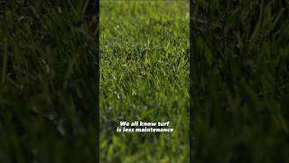 Turf Vs Grass Explained🤝 [upl. by Youlton91]