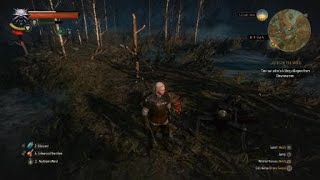 The Witcher 3 Wild Hunt Water Hag Mutagen And Water Hag Decogtion [upl. by Ja]