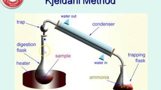 Estimation of Nitrogen  Kjeldahl Method [upl. by Eelessej]