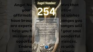 Angel Number 254 angelnumbers angel shorts shortsvideo [upl. by Just249]