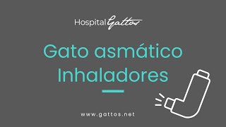 Gattos quotGato asmático Tratamiento con inhaladoresquot [upl. by Nylssej]