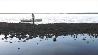 Photography From a Canoe  Chokoloskee Bay [upl. by Nils]