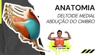 Anatomia do Deltoide Medial  Abdução do Ombro [upl. by Orag]