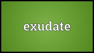 Exudate Meaning [upl. by Nwahsuq442]