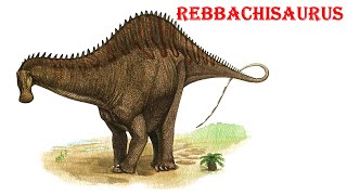 Rebbachisaurus [upl. by Ettennod]