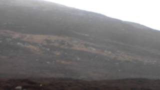 blencathra foxhounds new years day 2013 totally humiliated again [upl. by Sug325]