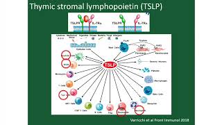 Biologics for Asthma [upl. by Nomi]