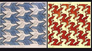 MC Escher and Optical Illusions [upl. by Haelat]