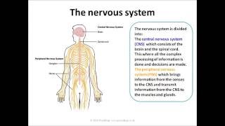 introduction to Biopsychology types of researches and methods IGNOU lecture [upl. by Adiaroz]