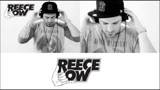 Promotion Mix 2 Reece Low  Dutch House amp Electro House 2013 [upl. by Adieren997]