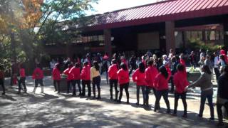 Charter Day Zeta Psi on the Yard [upl. by Aidnahs]