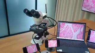 Embedded Camera with Olympus CX23 Binocular Microscope [upl. by Celka]