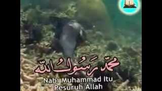 SIFAT 20 ALLAH SWT [upl. by Bebe]