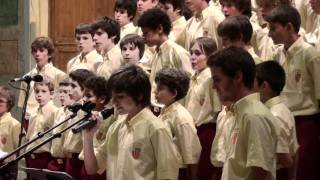 L´AMITIÉ    Petits Chanteurs d´Aix en Provence [upl. by Rheingold]