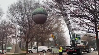 Raleighs Acorn removed for annual polishing [upl. by Mccartan167]