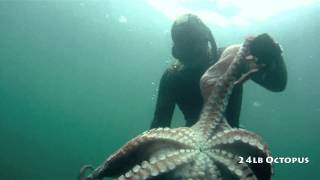 Freediving for 10 inch Abalone [upl. by Htnicayh]