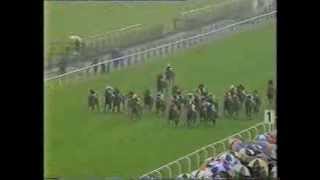 1997 Wokingham Handicap [upl. by Ayeka]