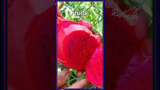 bayabas dragonfruit atis langkafruit grape longgan shortsvideo shortsfeed shorts video [upl. by Ecidnak]