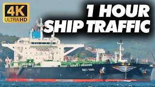 Ship Spotting amp Relax Music  1 Hour Bosphorus Marine Traffic [upl. by Emeric]