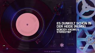 Es dunkelt schon in der Heide Stereotief Remix [upl. by Fiden980]