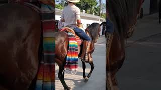 cabalgata en santa fe tepetlapa guerrero México [upl. by Hubie]