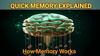 QUICK MEMORY EXPLAINED  Do You Know How Memory Works [upl. by Ladnyc]