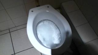 Powerful VilleroyampBosh toilet on Flushometer [upl. by Jannery]