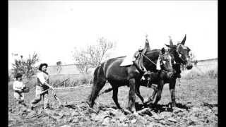 O ALENTEJO DE ANTIGAMENTE [upl. by Mushro523]