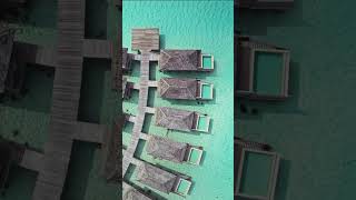 Jawakara Islands Maldives  Water Villas [upl. by Glimp]