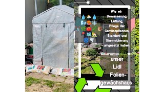 Lidl Foliengewächshaus allfacts Wissenswertes um unseren Gemüseanbau 🏡🍅🥒✂️💚 [upl. by Derfniw]