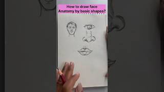 How to Draw Face Anatomy by Basic Shapes [upl. by Rento466]