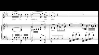 Porgi Amor Le Nozze di Figaro  Mozart Score Animation [upl. by Issiah170]