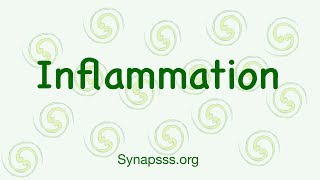 Inflammatory Response Inflammation Pathology  Signs Steps and Pathogenesis Acute and chronic [upl. by Olivann2]