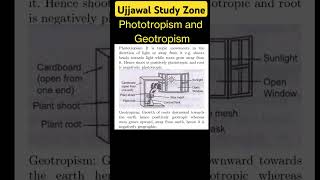 Phototropism and Geotropism ujjawalstudyzone motivation cbse [upl. by Brigg967]