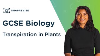 Transpiration in Plants  91 GCSE Science Biology  OCR AQA Edexcel [upl. by Rao]