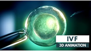 How IVF works  3D Animation [upl. by Acired]