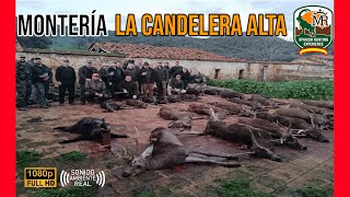 MONTERÍA LA CANDELERA ALTA 2024  ALFONSO YUSTE Y SPANISH HUNTING EXPERIENCE 226 [upl. by Ssirk905]