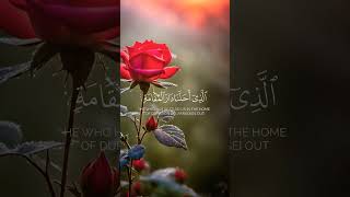 Tilawat e Quran  🤲🤲🤲🤲🤲🤲🤲🤲🤲🤲🤲🤲🤲🤲💖💖💖💖❤️❤️❤️🌹🌹youtubeshortsquranviralallahislamicshortstilawat [upl. by Ellenuahs]