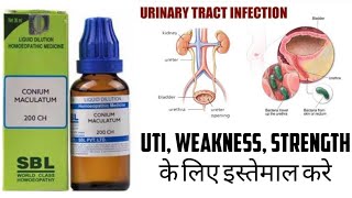 Conium Maculatum 200C Benefits Uses Side effects Review in Hindi  Review Remedy [upl. by Akkin]