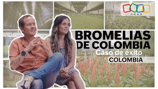 Bromelias de Colombia  Caso de éxito Zoho [upl. by Nairdna]