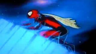 Spiderman Original Cartoon Theme Song [upl. by Sellers125]